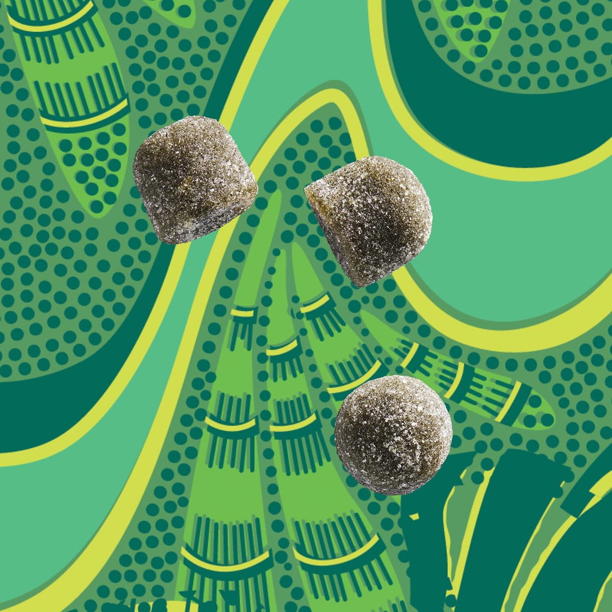 Kuli Kuli Super Energy Gummies - Suplemento Energético Natural con Moringa, Sin Cafeína - 60 Gominolas No GMO, Sin Gluten – Image 6
