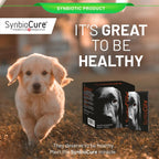 SynbioCure Probióticos y Prebióticos para Perros | Polvo | 200 Mil Millones de Bacterias por Sobre | 30 Sobres de 2 g