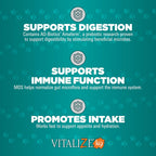 Vitalize Dog Gel, 15 ml - Suplemento de recuperación quirúrgica y apoyo inmunológico para perros pequeños - Sabor a mantequilla de maní con vitaminas, aminoácidos y prebiótico para la salud digestiva y la curación