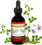 Whole World Botanicals - Royal Desmodium Apoyo Muscular y Tendinoso - 60 ml