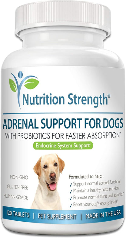 Nutrition Strength Adrenal Support for Dogs - Suplemento Adrenal para Perros, 120 Comprimidos Masticables – Image 1
