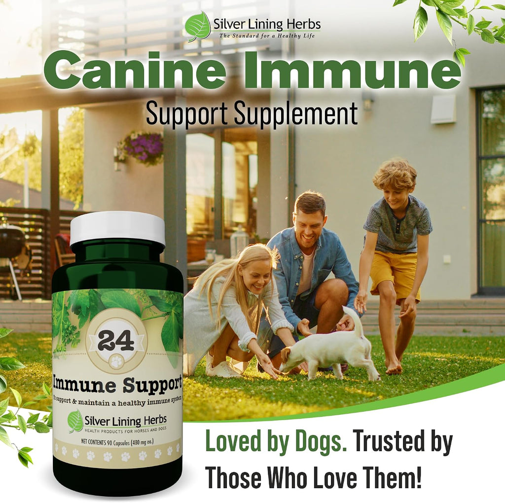 Silver Lining Herbs – Suplemento Inmunológico para Perros (90 Cápsulas)