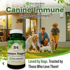 Silver Lining Herbs – Suplemento Inmunológico para Perros (90 Cápsulas)