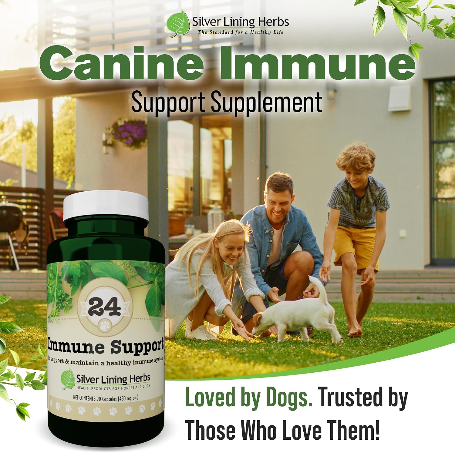 Silver Lining Herbs – Suplemento Inmunológico para Perros (90 Cápsulas)