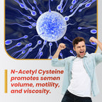 Motility Max – Apoya la motilidad espermática y la salud reproductiva, con L-Arginina, L-Carnitina y nutrientes esenciales, 60 cápsulas