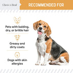 Chew + Heal Labs Aceite de Pescado Salvaje Omega 3 para Perros - 360 Mini Cápsulas Blandas de 300mg para Piel y Pelo Saludables