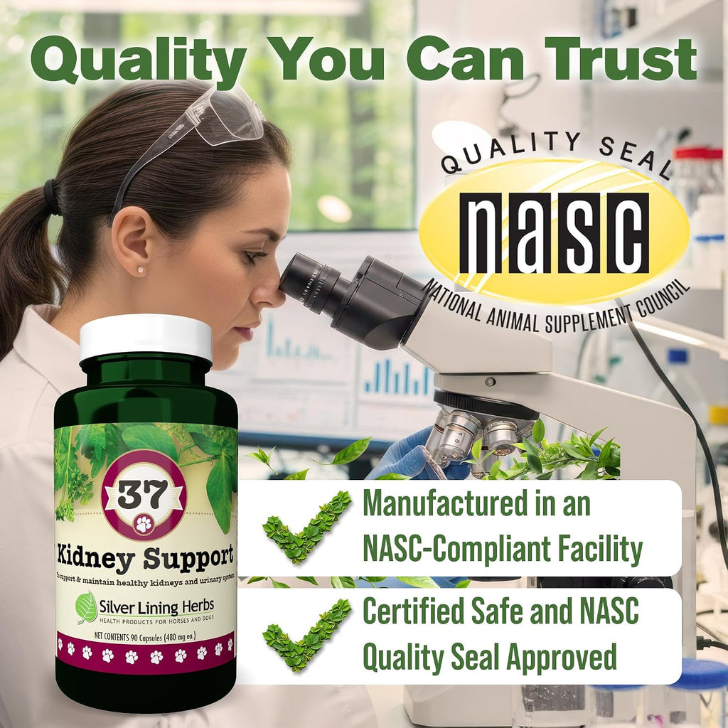 Kidney Support for Dogs – Canine Herbal Supplement for Kidneys and Bladder – 90 Capsules