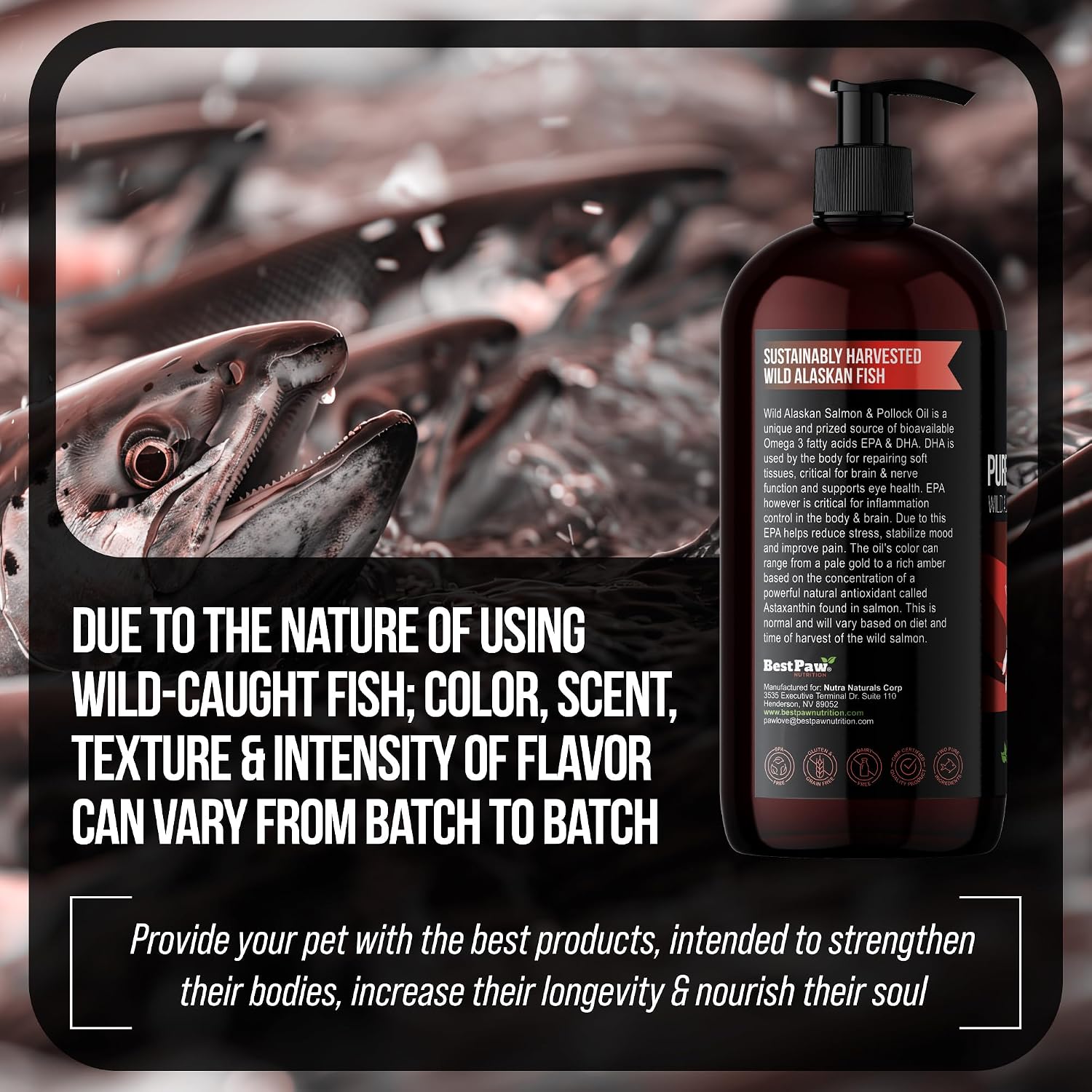 Aceite de Salmón Salvaje de Alaska para Perros | Omega 3 Líquido con Dosificador | Alto Contenido de EPA y DHA | 946 ml
