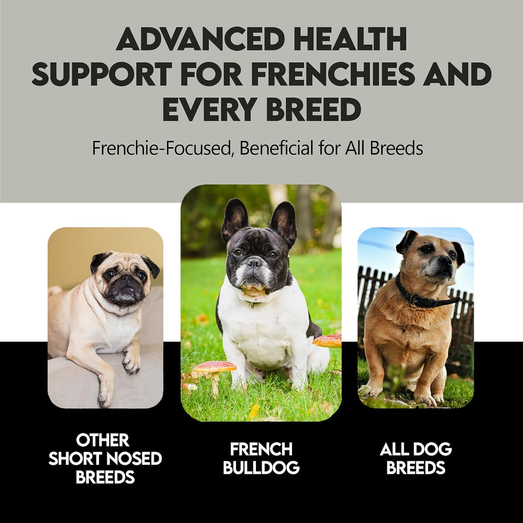 Frenchies vs Mushrooms - Turkey Tail Mushroom for Dogs, Omega-3 & Turmeric | Immune support Mushroom Supplement For Dogs. Helps with digestion, allergies, longevity, lumps & bumps. Frenchie optimized.