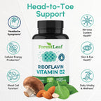 ForestLeaf Vitamina B2 Riboflavina 400 mg - 90 Cápsulas Vegetales