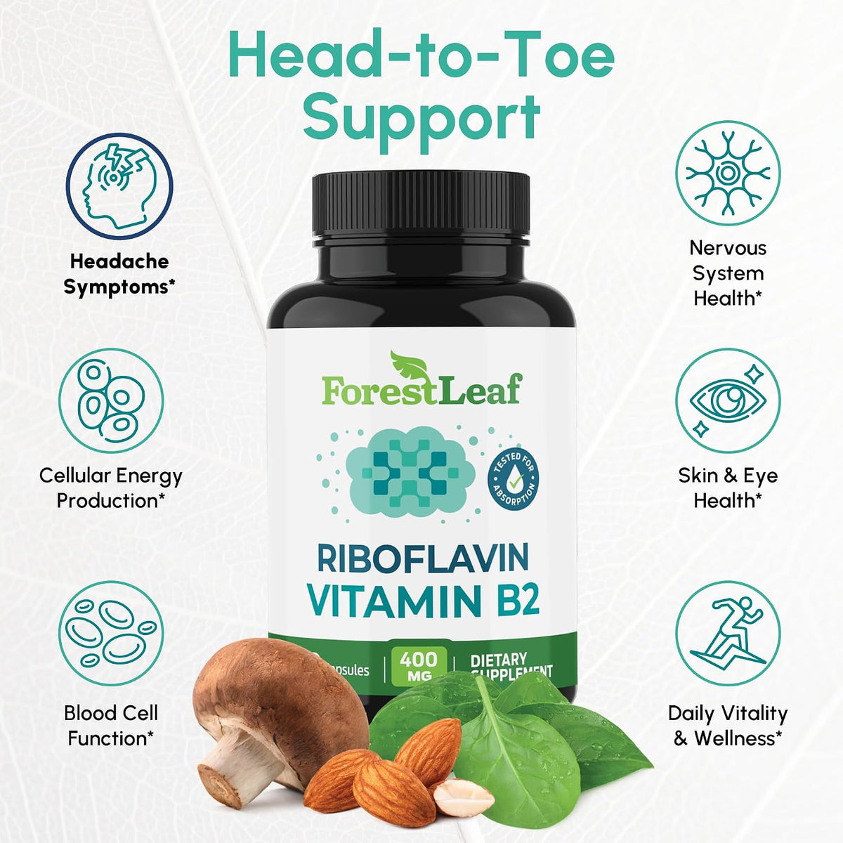 ForestLeaf Vitamina B2 Riboflavina 400 mg - – Funcionamiento normal del sistema nervioso: Apoya la transmisión – Image 2