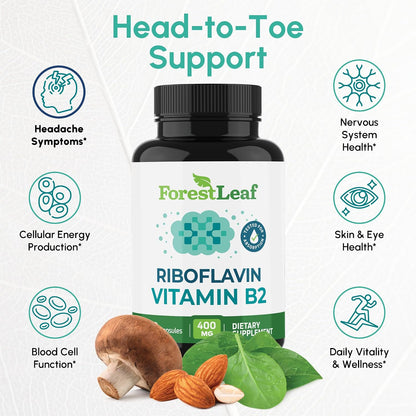 ForestLeaf Vitamina B2 Riboflavina 400 mg - – Funcionamiento normal del sistema nervioso: Apoya la transmisión – Image 2