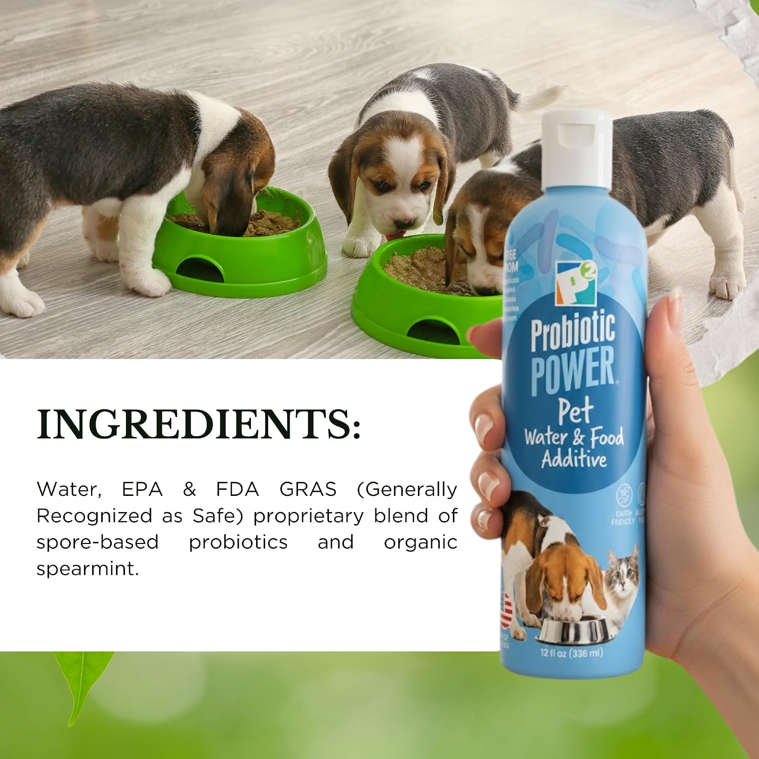 P2 Probiotic Power – Probiótico en polvo para mascotas – 340 g