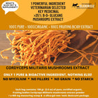 Extracto de Cordyceps para Perros y Gatos – 25%+ Beta Glucanos – Cuerpo Fructífero – 250 Dosis