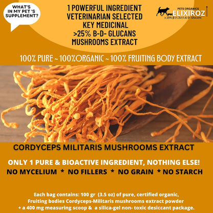 Extracto de Cordyceps para Perros y Gatos – 25%+ Beta Glucanos – Cuerpo Fructífero – 250 Dosis – Image 6