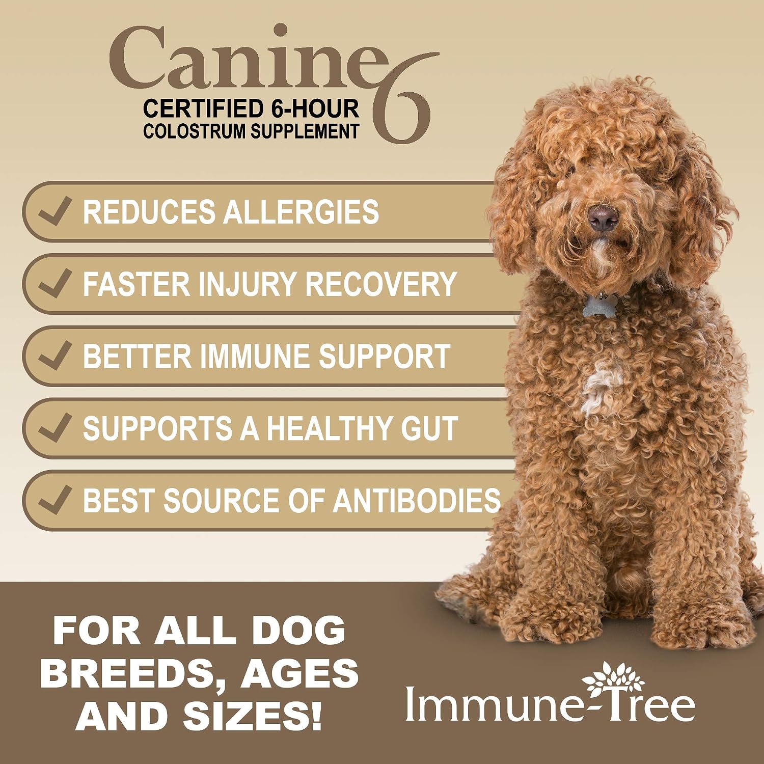 Calostro bovino para perros y cachorros | Suplemento para el sistema inmunológico | Alivio para alergias, picor de piel y puntos calientes | Prebióticos y probióticos apoyan la digestión | Fabricado en EE. UU. | 240 g (8.47 oz)