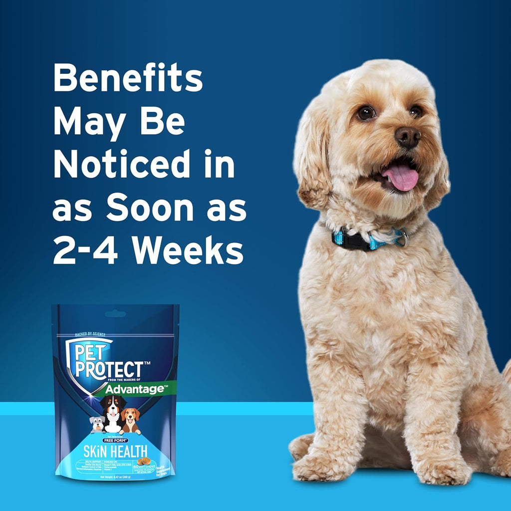 Pet Protect Suplemento para la Piel de Perros, Mezcla Patentada Free Form, Masticables Sabor Bacon (60 unidades)