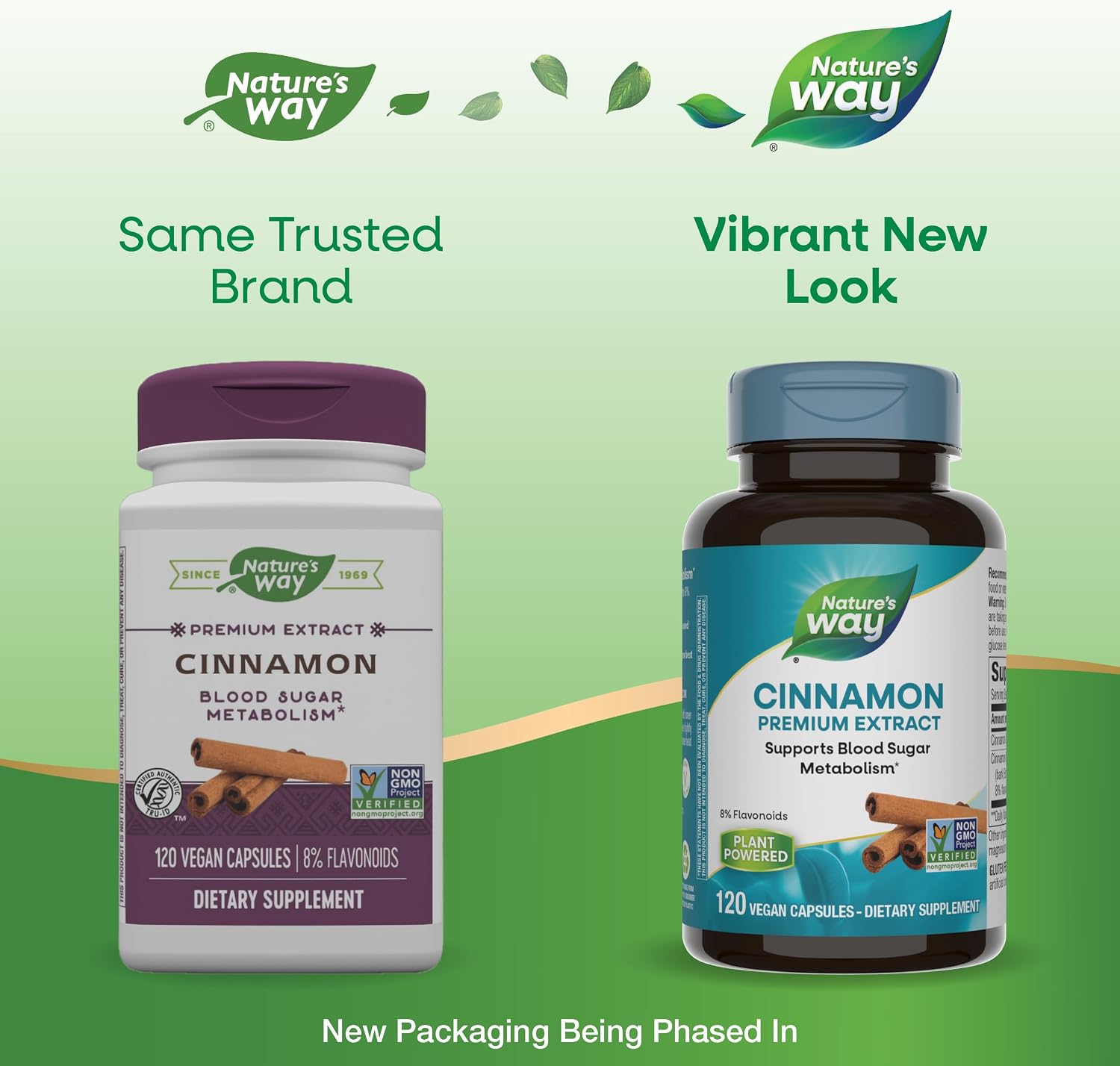 Nature's Way Extracto de Canela Premium, Estandarizado al 8% de Flavonoides, 240 Cápsulas Veganas