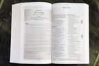 NVI, Biblia devocional para la recuperación, Rústica