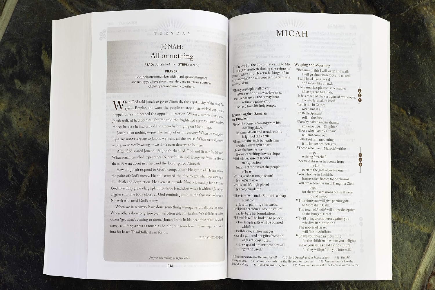 Biblia de Recuperación NIV (Edición Devocional, Tapa blanda)