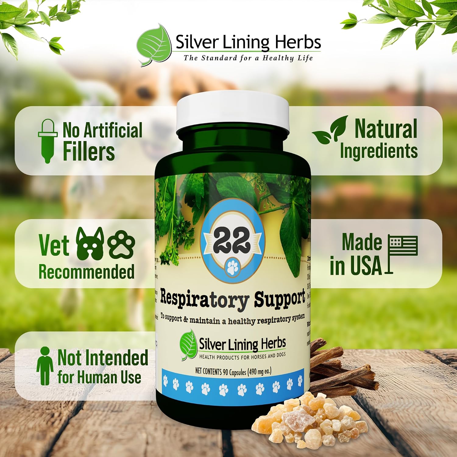 Respiratory Support for Dogs - Herbal Blend with Mullein, Ginger, Boswellia, and Yerba Santa - 90 Capsules