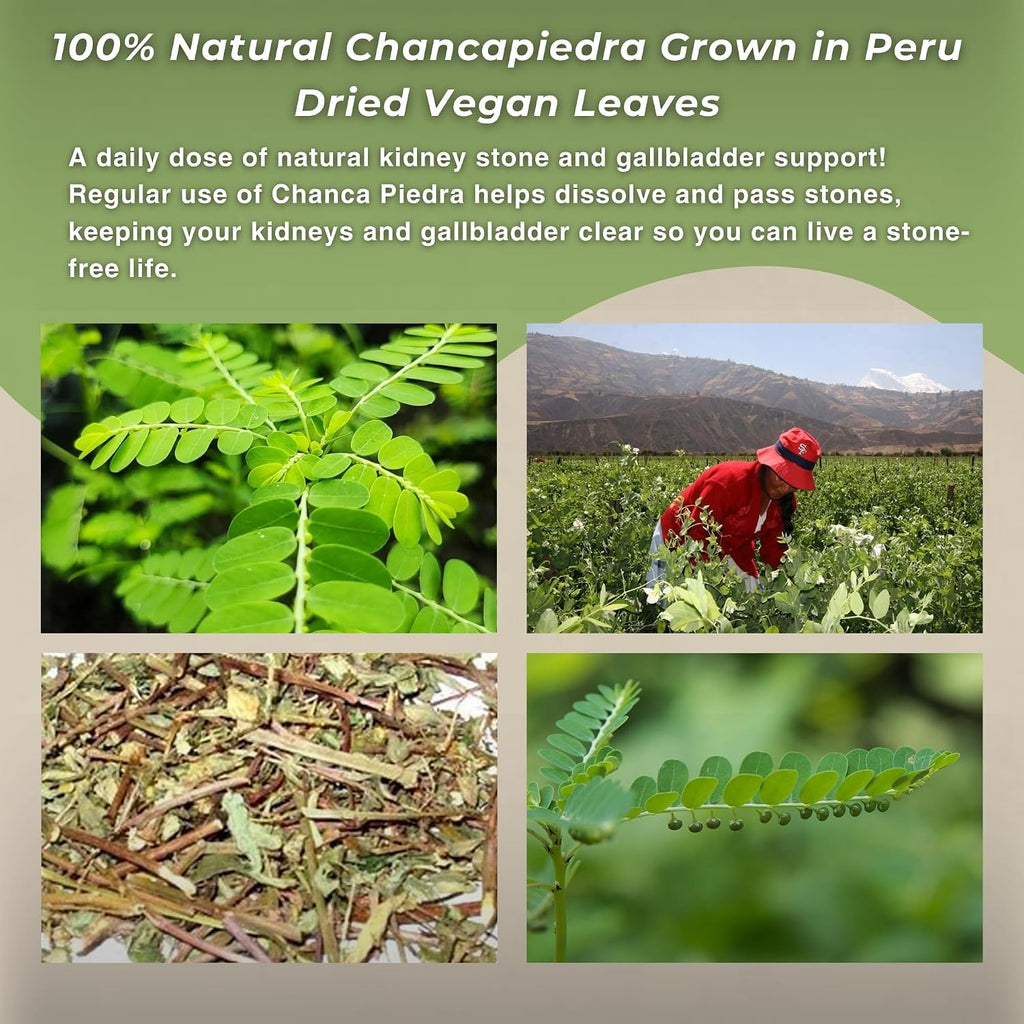 Hanan Chanca Piedra Hoja Suelta 40g - Té de Hierbas Chancapiedra 100% Natural Cultivado en Perú
