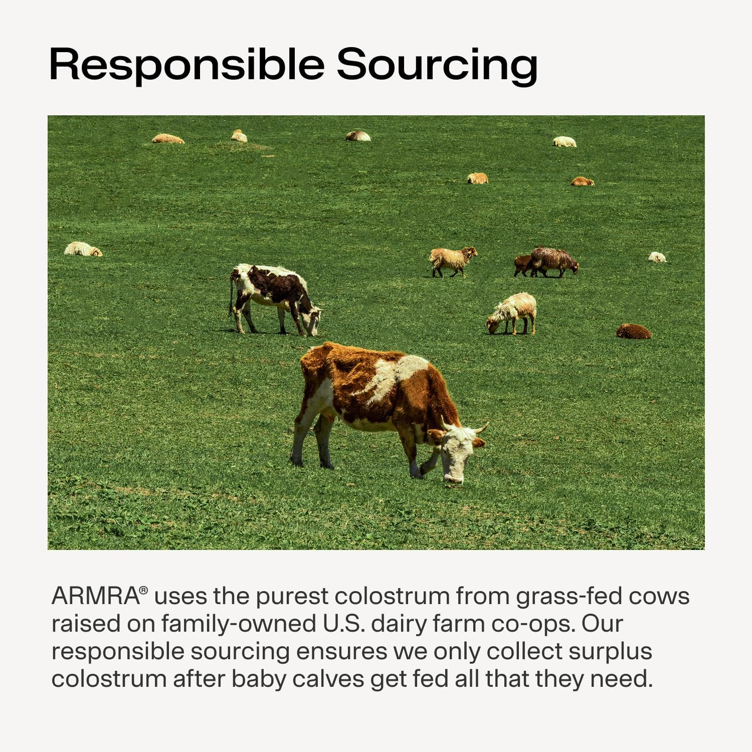 ARMRA Colostrum™ Powder - Sabor Naranja Sangre | 30 Dosis