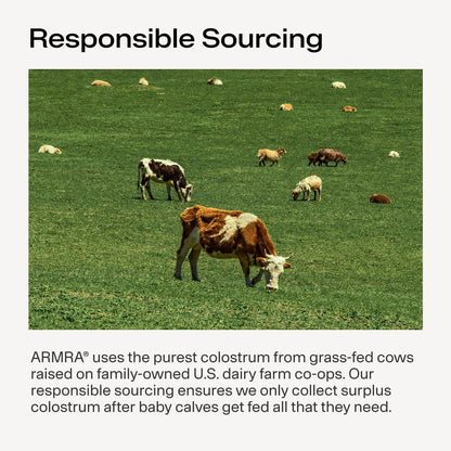 ARMRA Colostrum™ Powder - Sabor Naranja – Lactoferrina: proteína con propiedades antimicrobianas y moduladoras del – Image 7
