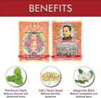 Po Chai Pills Suplemento Herbal (Apoya el Sistema Inmune y Gastrointestinal) (10 viales) (1 Caja)