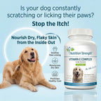 Complejo de Vitamina E para Perros con Zinc, Selenio, Folato y Aceite de Salmón - 120 Comprimidos Masticables