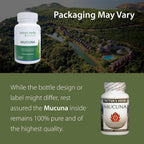 Tattva's Herbs CO2 Holistic Mucuna Pruriens Extract 500 mg – 2 Pack (240 cápsulas vegetales)