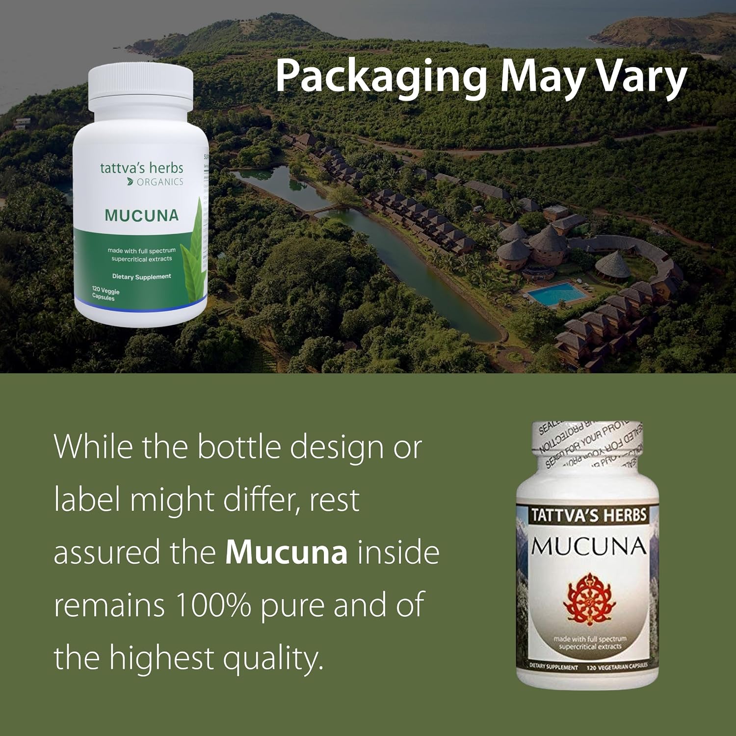Tattva's Herbs CO2 Holistic Mucuna Pruriens Extract 500 mg – 2 Pack (240 cápsulas vegetales)