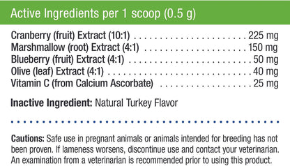 Only Natural Pet - Polvo Antioxidante de Arándano – Image 2