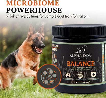 Balance Probiotic Blend for Dogs by Alpha – Calidad de las cepas: Busca un producto que contenga cepas probióticas – Image 5