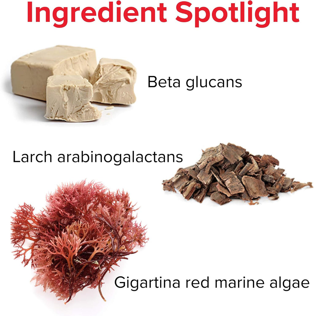 Immune Defense by Vibrant Health - 60 Capsules