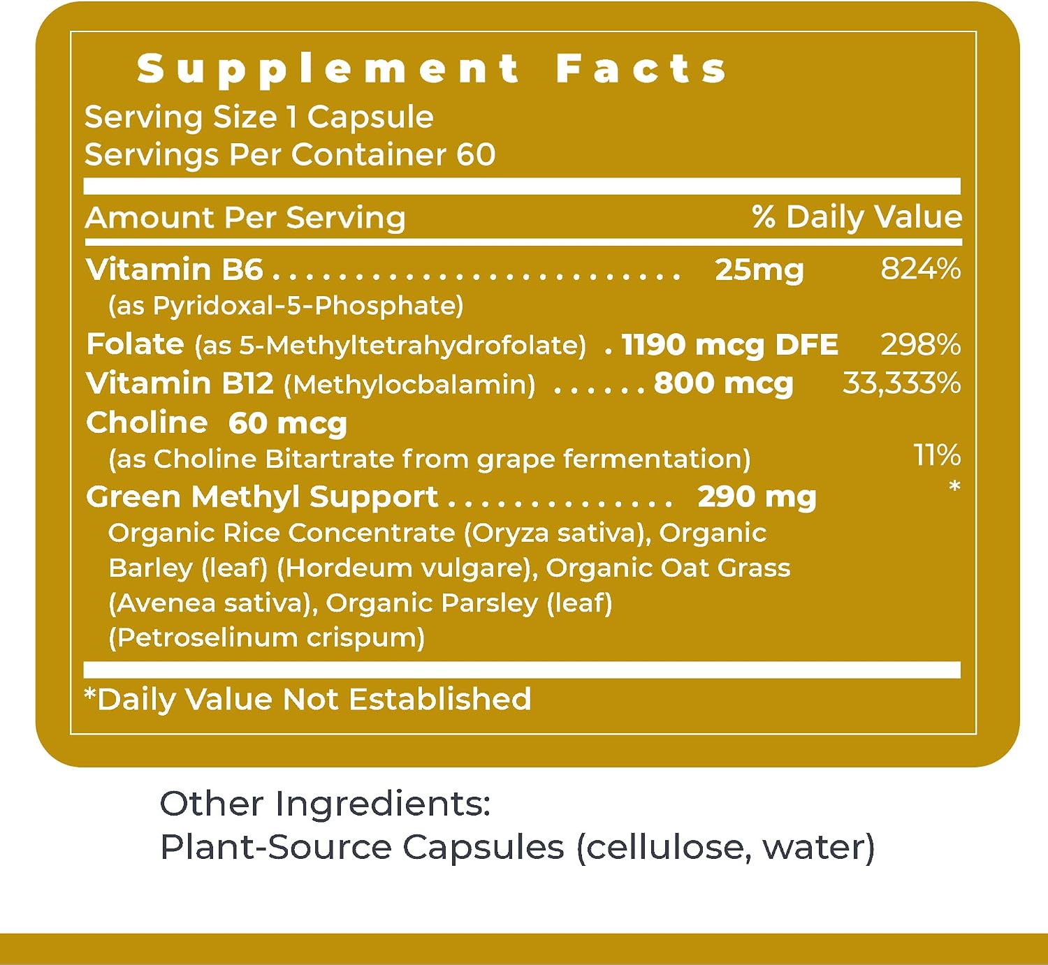 Premier Research Labs Phyto Methylate - B Vitamin Supplement - Supports Methylation, Detox, Brain & Heart Health - 5-MTHF & P5P - 60 Plant-Source Capsules