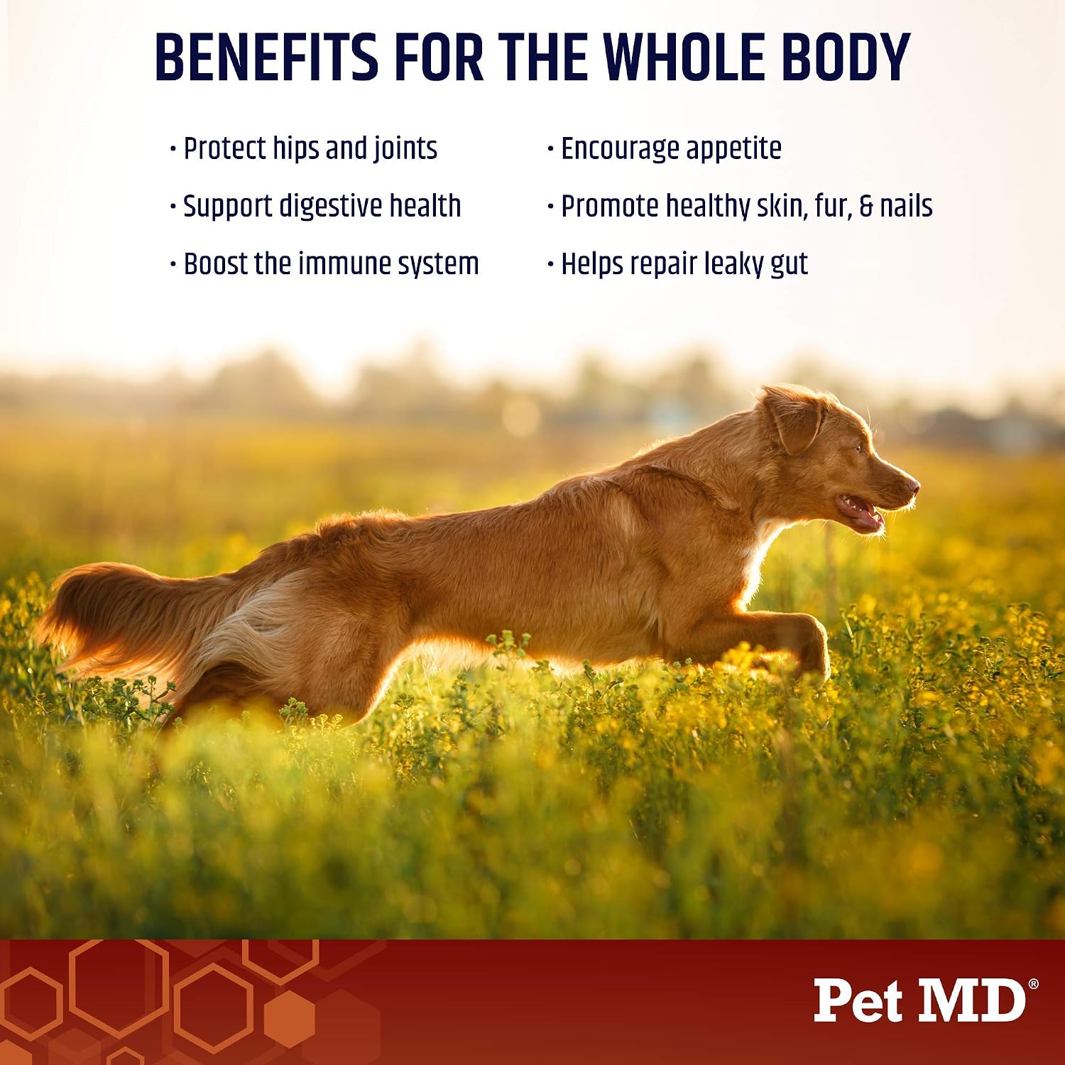 Pet MD Caldo de Huesos para Perros - Topper de Comida con Vitaminas y Aminoácidos - 113 g (4 oz)