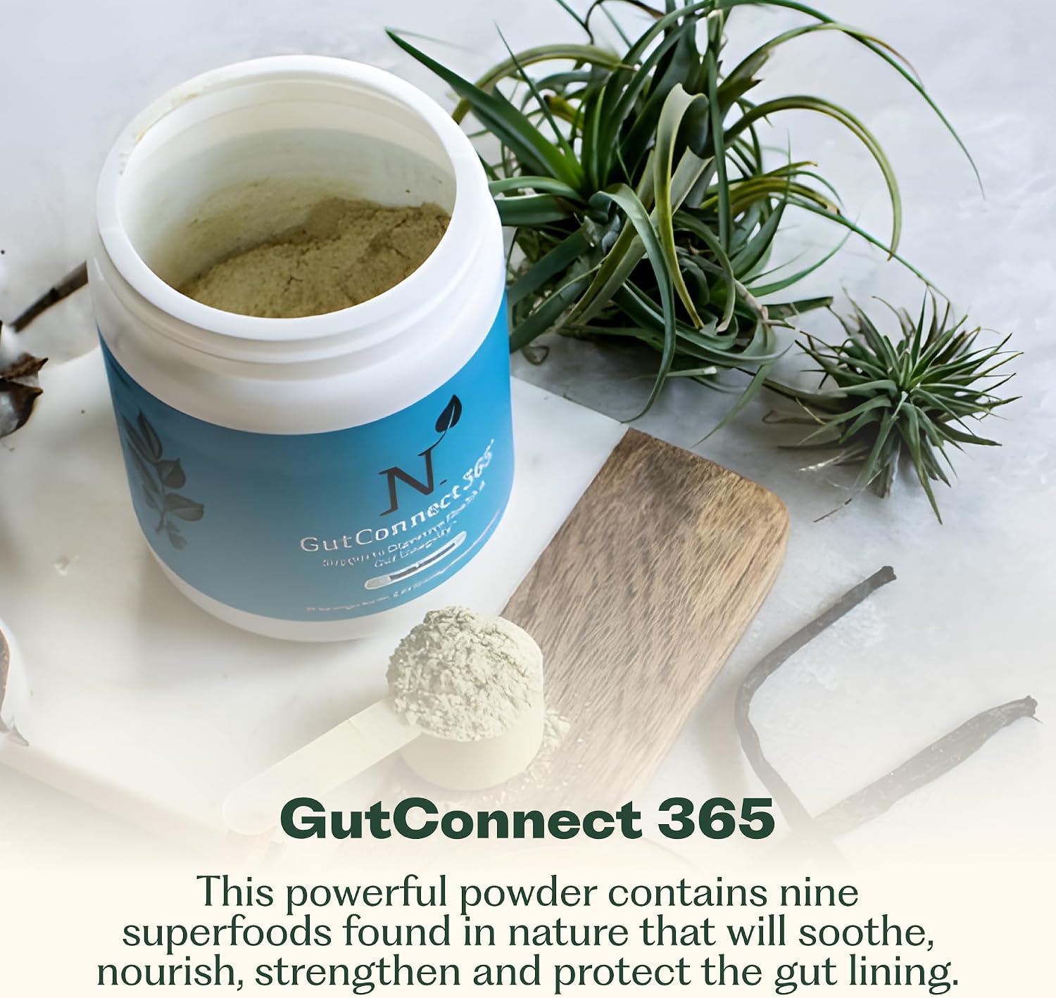 Nature M.D. GutConnect 365 – Chocolate Coconut