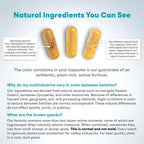 Multivitamínico Metilado MTHFR sin Hierro - 60 Cápsulas