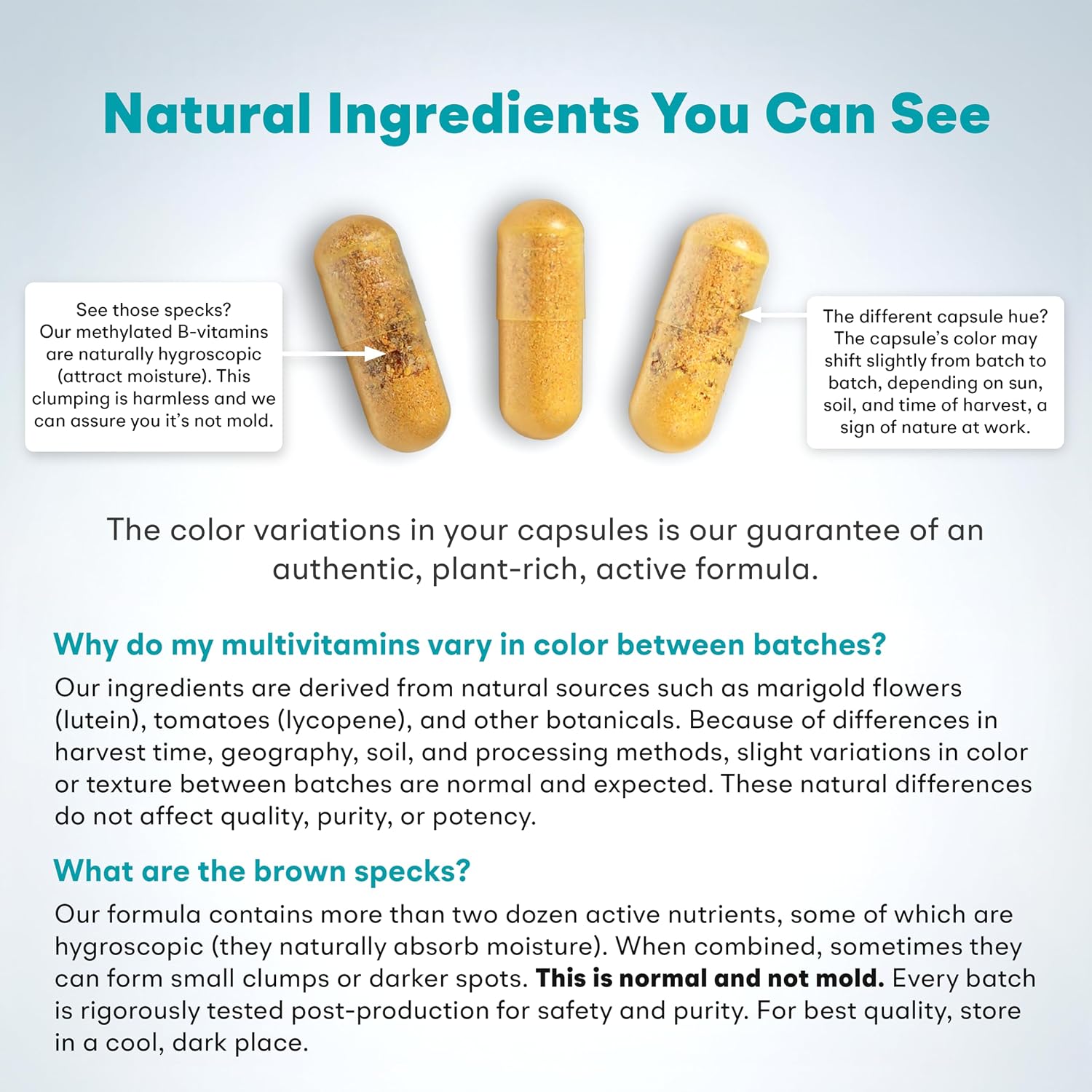 Multivitamínico Metilado MTHFR sin Hierro - 60 Cápsulas