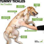Deley Naturals Probióticos Plus Masticables para Perros - 5 Mil Millones UFC con Enzimas Digestivas - Sabor a Calabaza - 90 Unidades