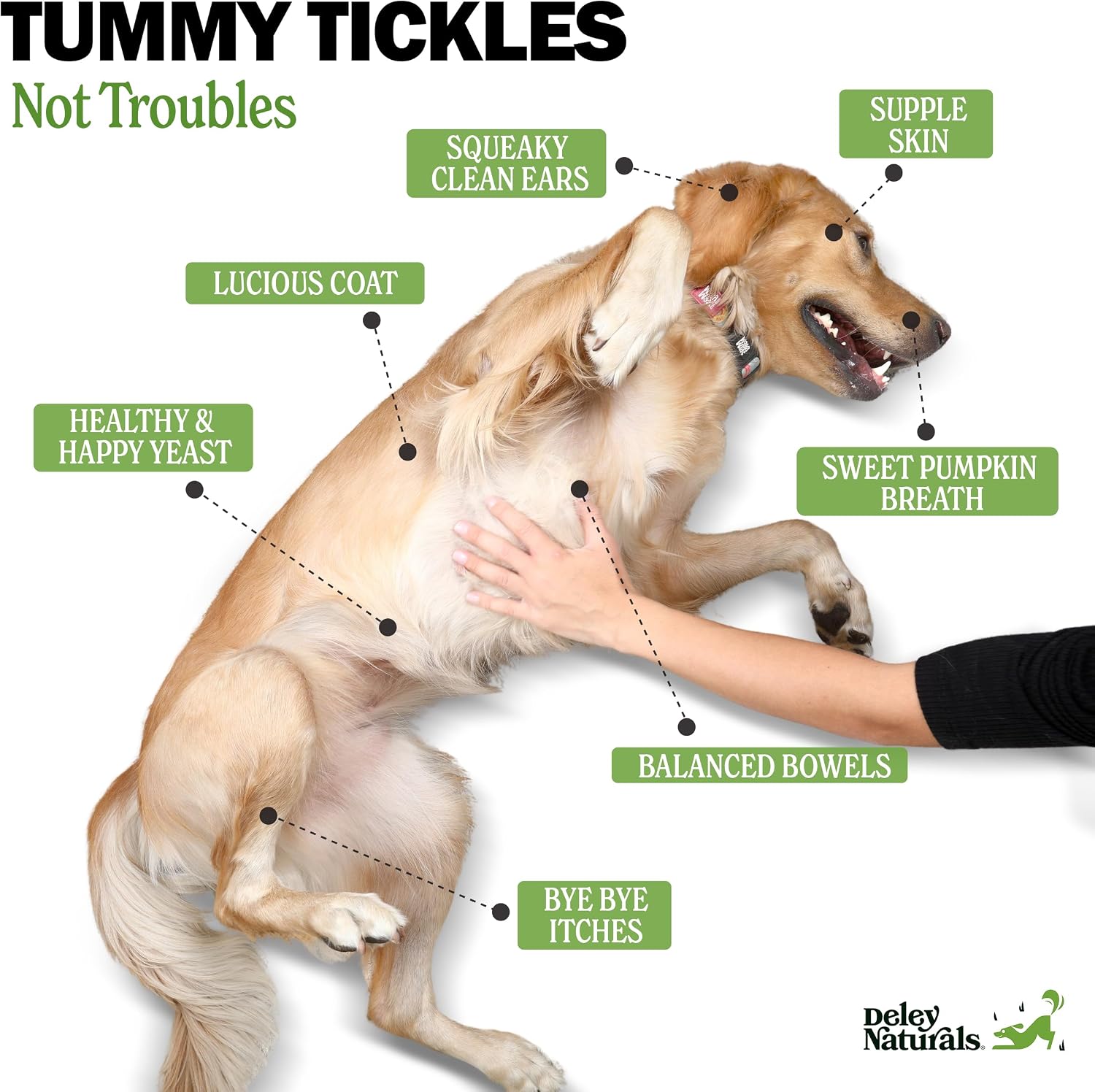 Deley Naturals Probióticos Plus Masticables para Perros - 5 Mil Millones UFC con Enzimas Digestivas - Sabor a Calabaza - 90 Unidades