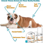 The Blissful Dog Boo Boo Butter para Molestias de tu Perro, 113g (4 oz)