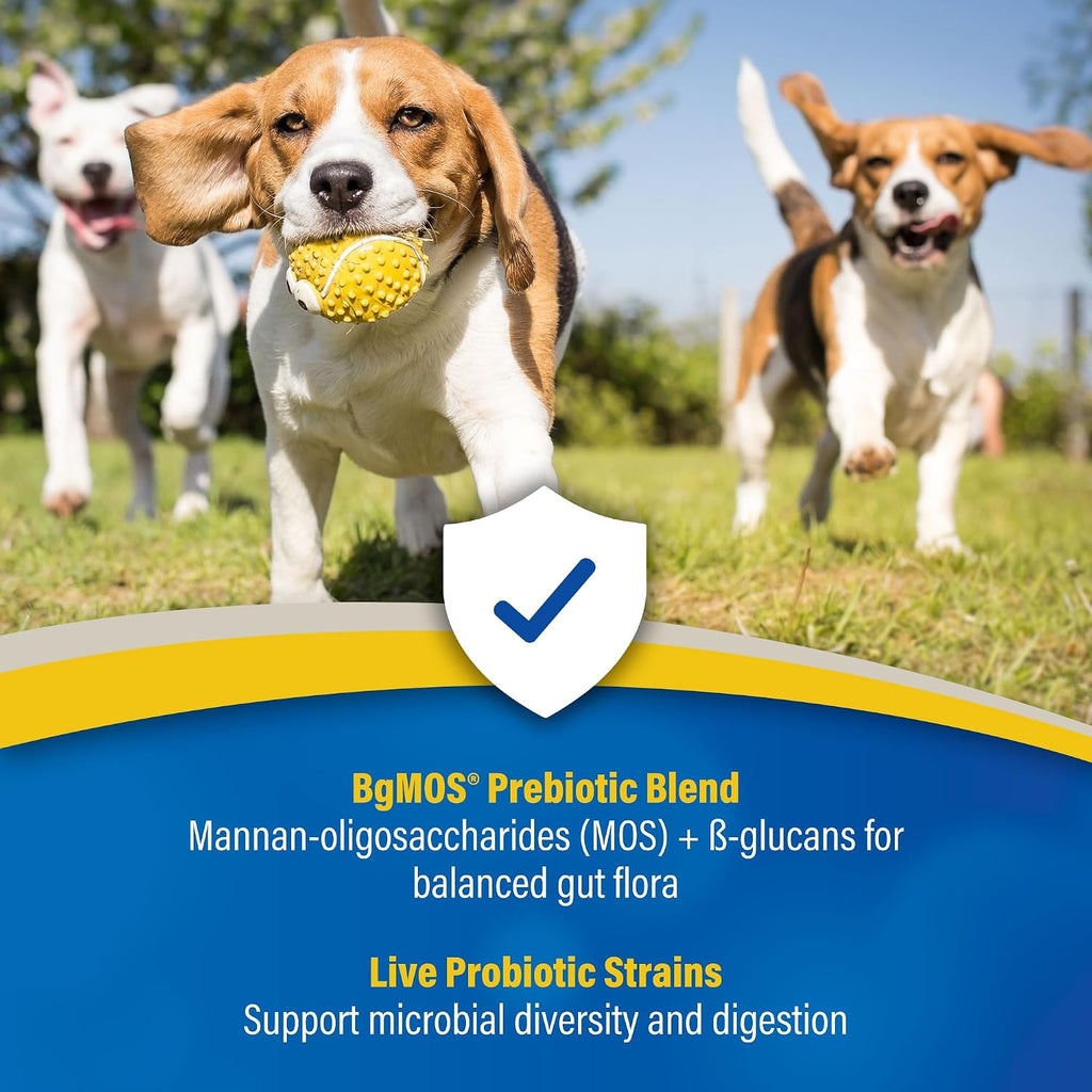 Doc Roy's GI Synbiotics: Probióticos y Prebióticos para Perros y Gatos, 454 g