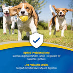 Doc Roy's GI Synbiotics: Probióticos y Prebióticos para Perros y Gatos, 454 g