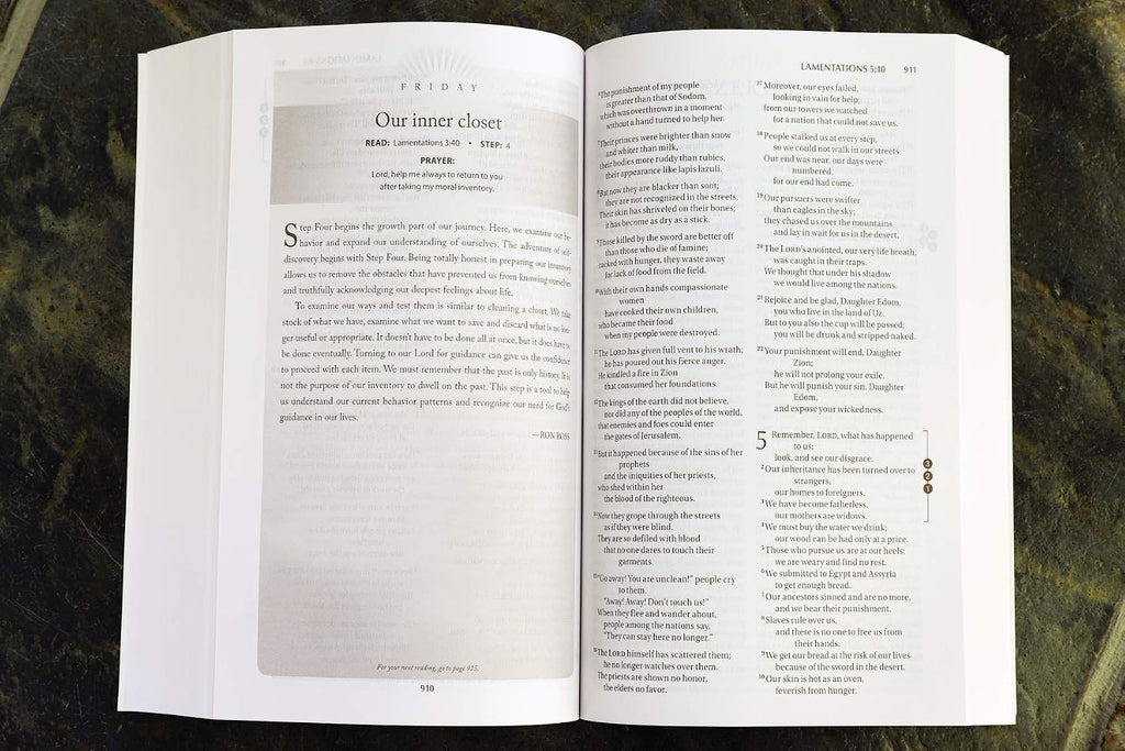 NIV Recovery Devotional Bible, Paperback