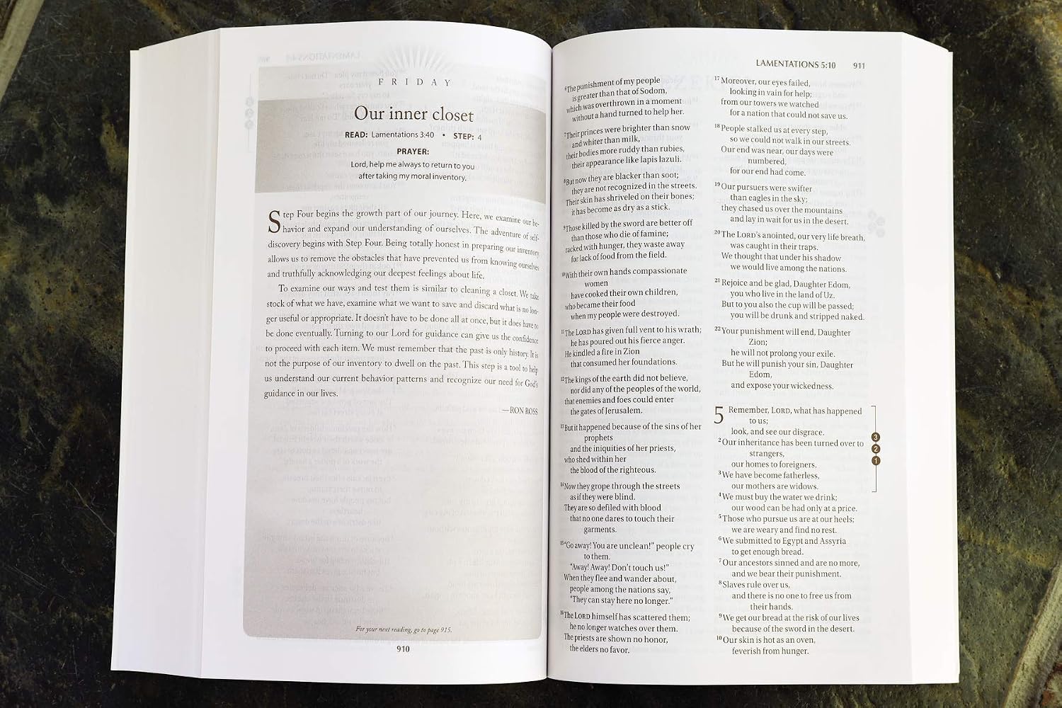 Biblia de Recuperación NIV (Edición Devocional, Tapa blanda)