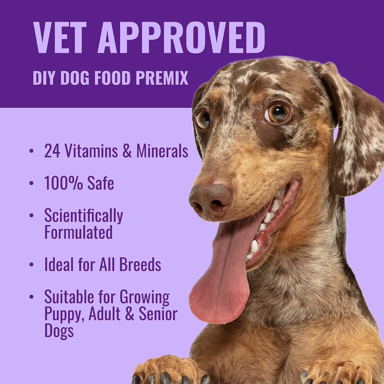 Azestfor Suplemento Multivitamínico para Perros – Dieta Casera – 16 oz (454 g) Polvo