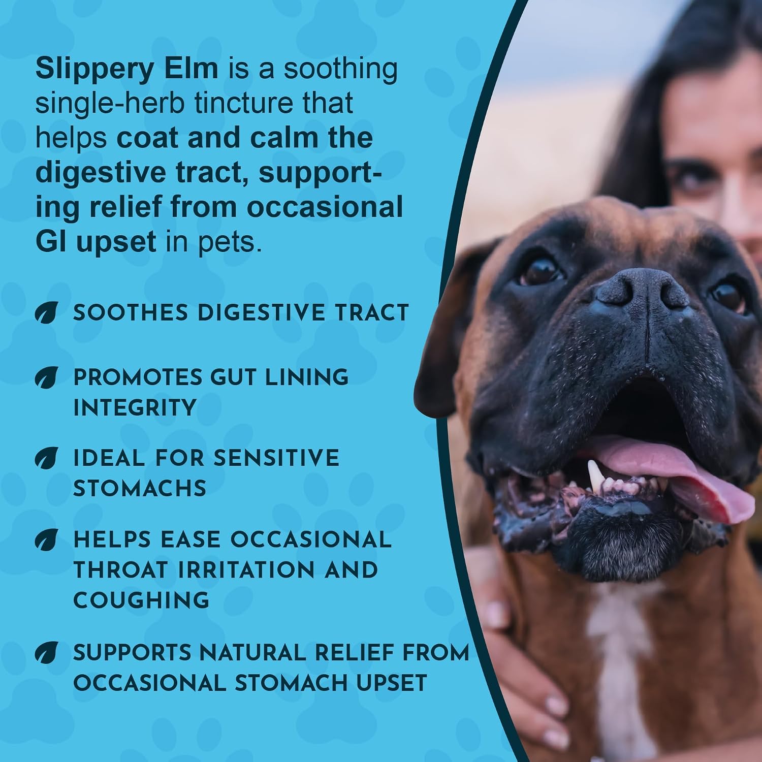 Animal Essentials Slippery Elm - Gotas de Corteza de Olmo Resbaladizo para Perros y Gatos, Extracto Herbario Orgánico para una Digestión Saludable, 30 ml