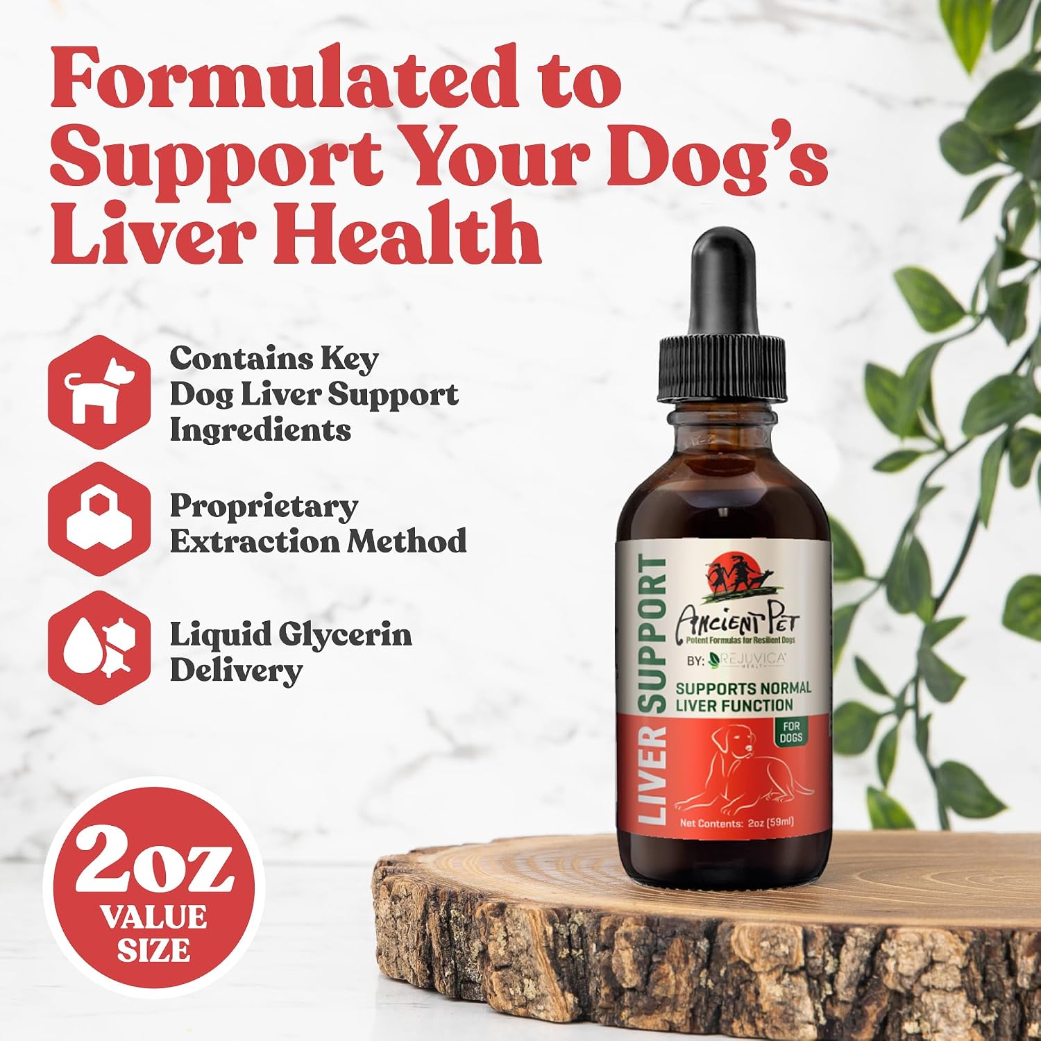 Ancient Pet Liver - Cardo Mariano para Perros con Alcachofa y Diente de León - Fórmula Líquida de Rejuvica Health